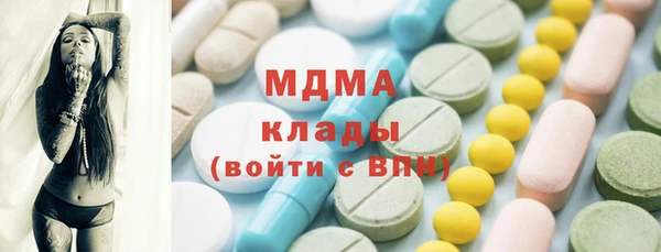 PSILOCYBIN Алзамай