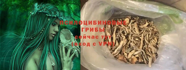 молекула духа Аркадак